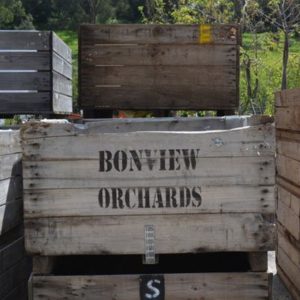 Apple Crates