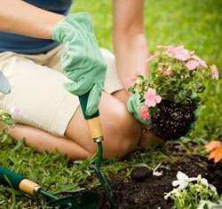 Garden thumbnail