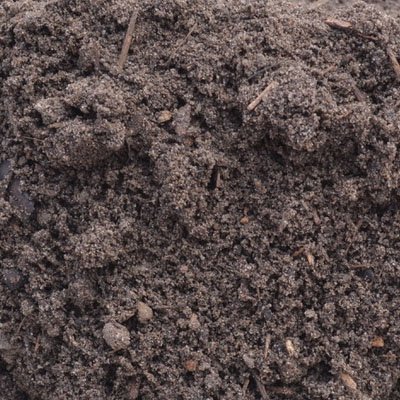 healthy zanzibar gem soil