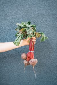 Vegetables to Plant in Spring beetroot