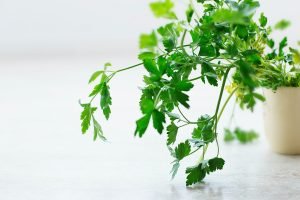 indoor herb gardens