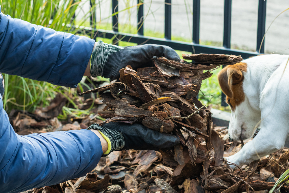 Is bark mulch safe for dogs