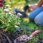 spring gardening