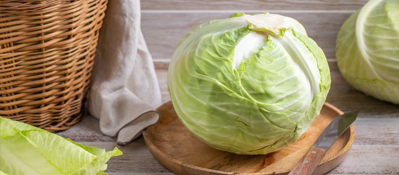 Cabbage