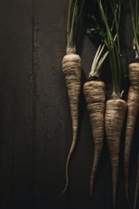 how to grow parsnips