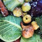 Top 10 Vegetables to Plant in Winter
