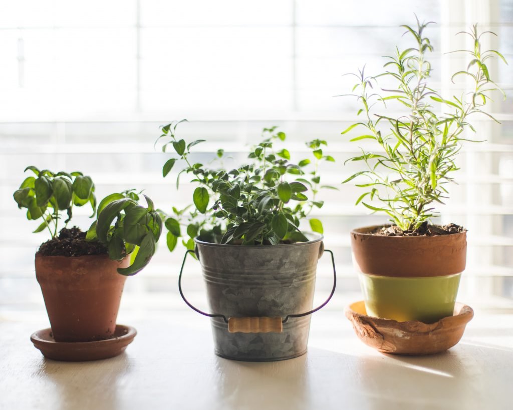 indoor herb garden temperature