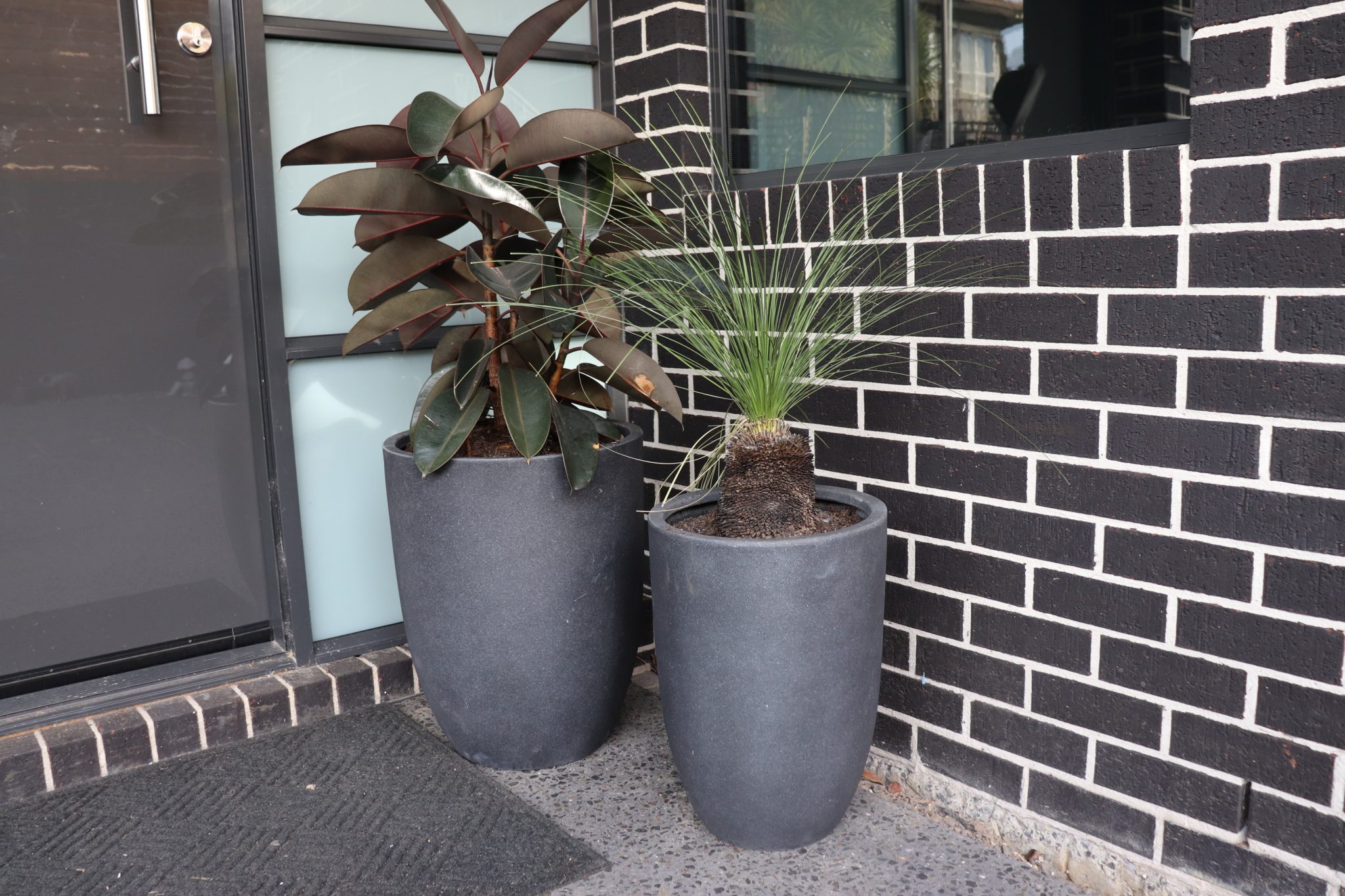 Top 10 Beautiful Front Door Plants Aumanns Nursery & Garden